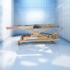 Electric Hydraulic Lift Mortuary Freezer Dock Cart for Mortuary Freezer Body Input