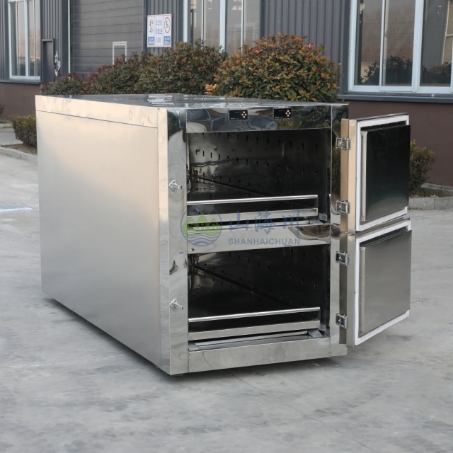 Two Body Mortuary Freezer