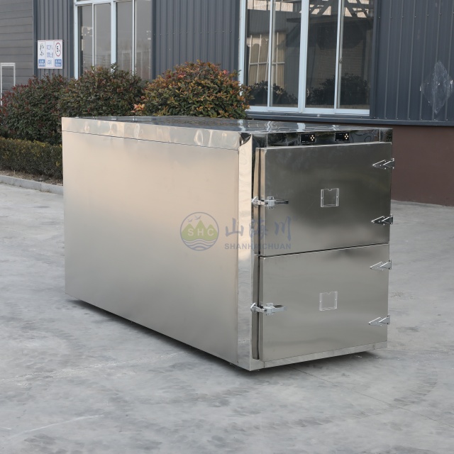 Two Body Mortuary Freezer