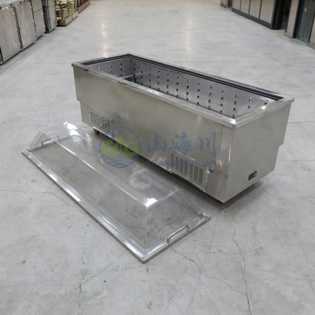 Viewing/Wake Freezer Coffin for Funeral Service Memorial Solution