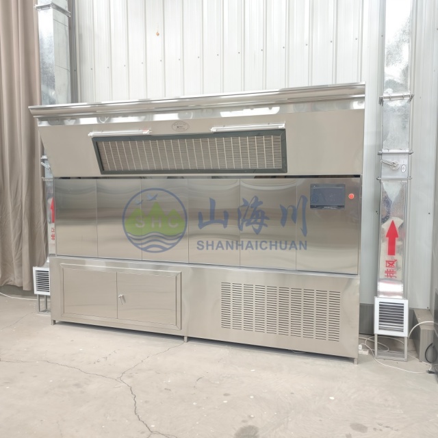 Crematorium Air Disinfection Cabinet for Cremation Workshop Air Purifier