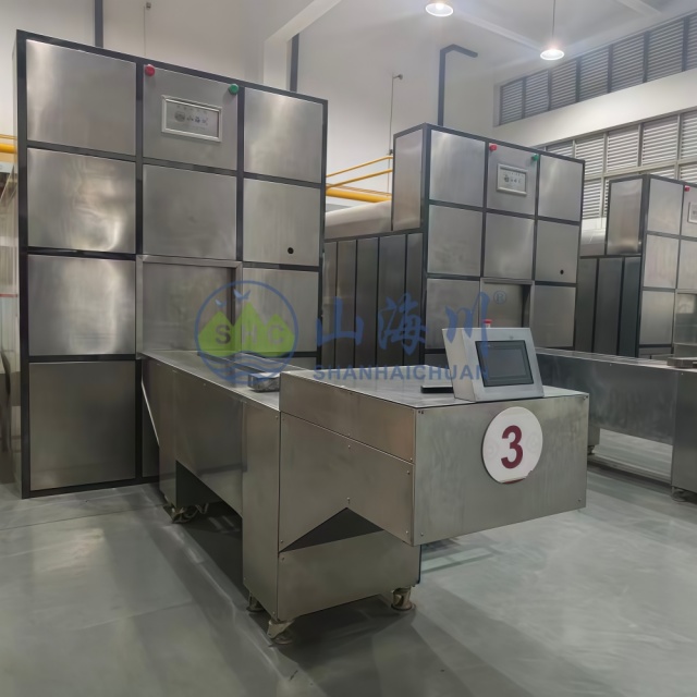 Coffin Automatic Charging System for Fixed Chamber Hearth Bed Cremation Machine