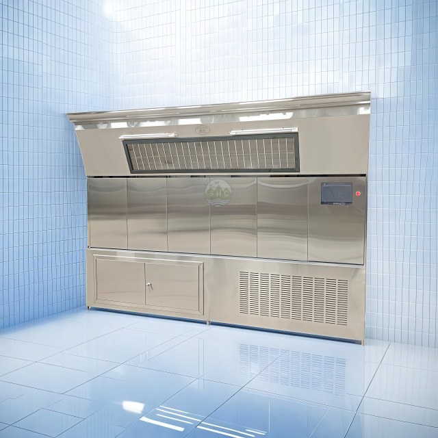 Crematorium Air Disinfection Cabinet for Cremation Workshop Air Purifier