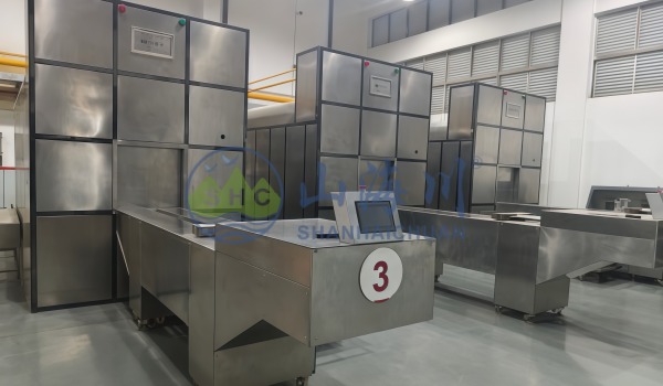 Human Cremation Machine