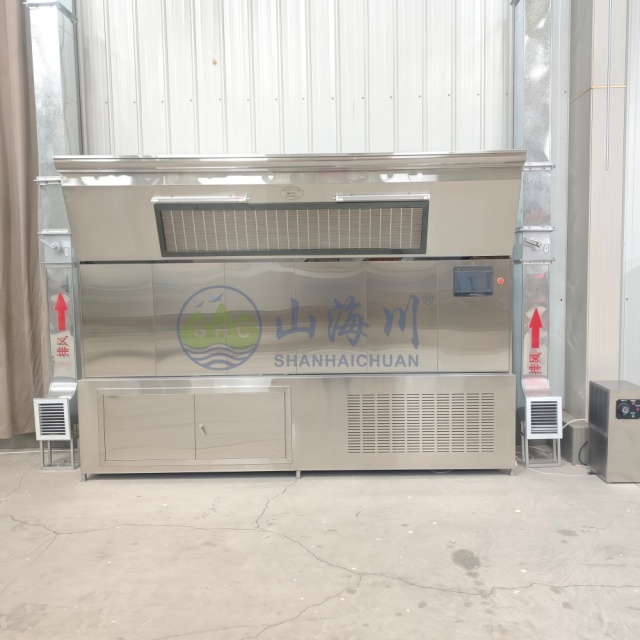 Crematorium Air Disinfection Cabinet for Cremation Workshop Air Purifier