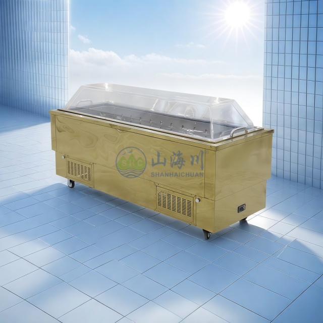 Viewing/Wake Freezer Coffin for Funeral Service Memorial Solution