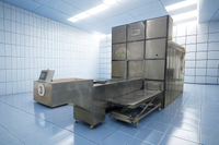 Fixed Chamber Bed Cremation Machine