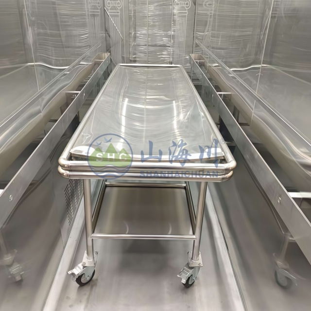 Corpse Disinfection Cabinet for Corpse before Cremation