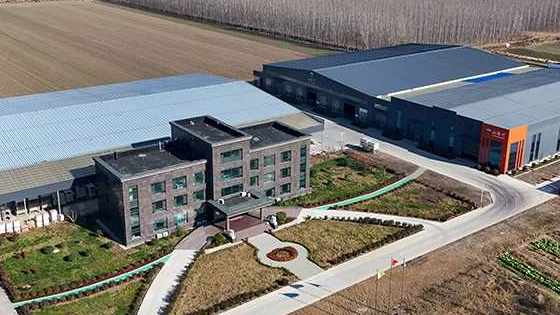 About Shanhaichuan-Leading Cremation Equipment Manufacturer