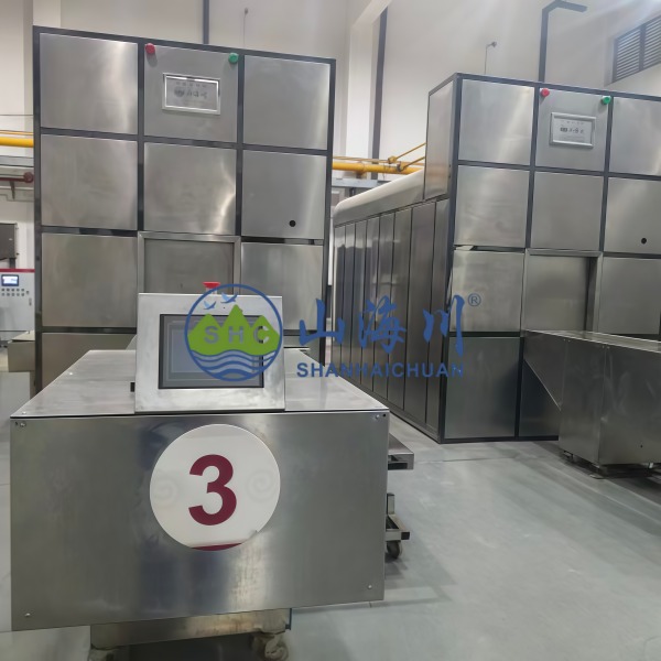 Human Cremation Machine