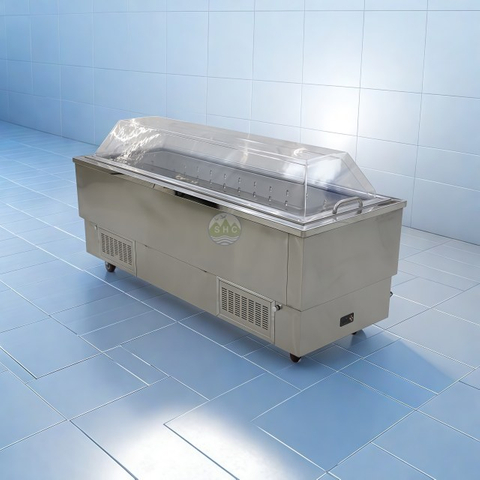 Viewing/Wake Freezer Coffin for Funeral Service Memorial Solution