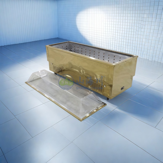 Viewing/Wake Freezer Coffin for Funeral Service Memorial Solution